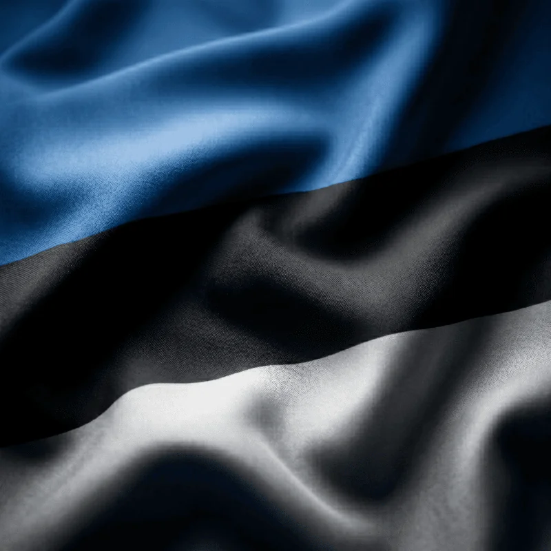 Estonia — FIU VASP